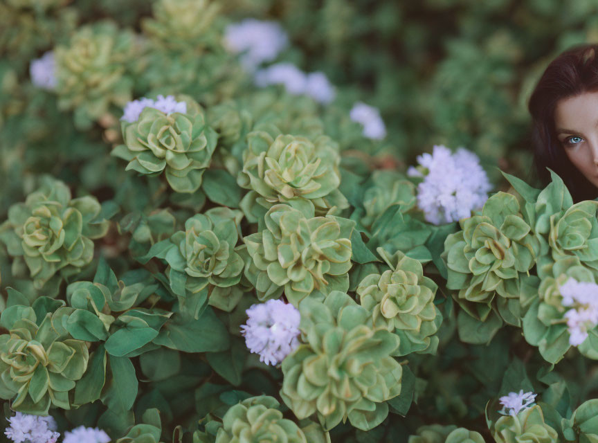 Eyes peering through lush green foliage with white flowers.