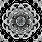 Detailed Black and White Mandala Design with Floral and Abstract Patterns