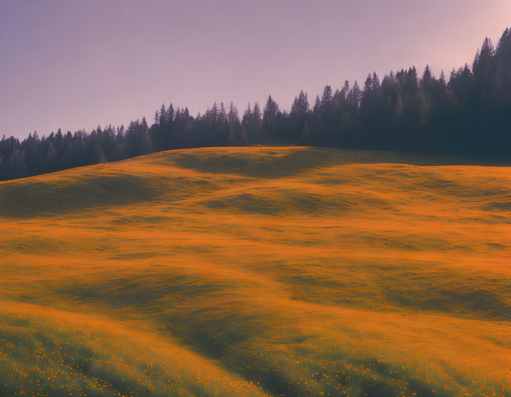 Tranquil landscape with golden grass hill, pink sky, and dark green trees