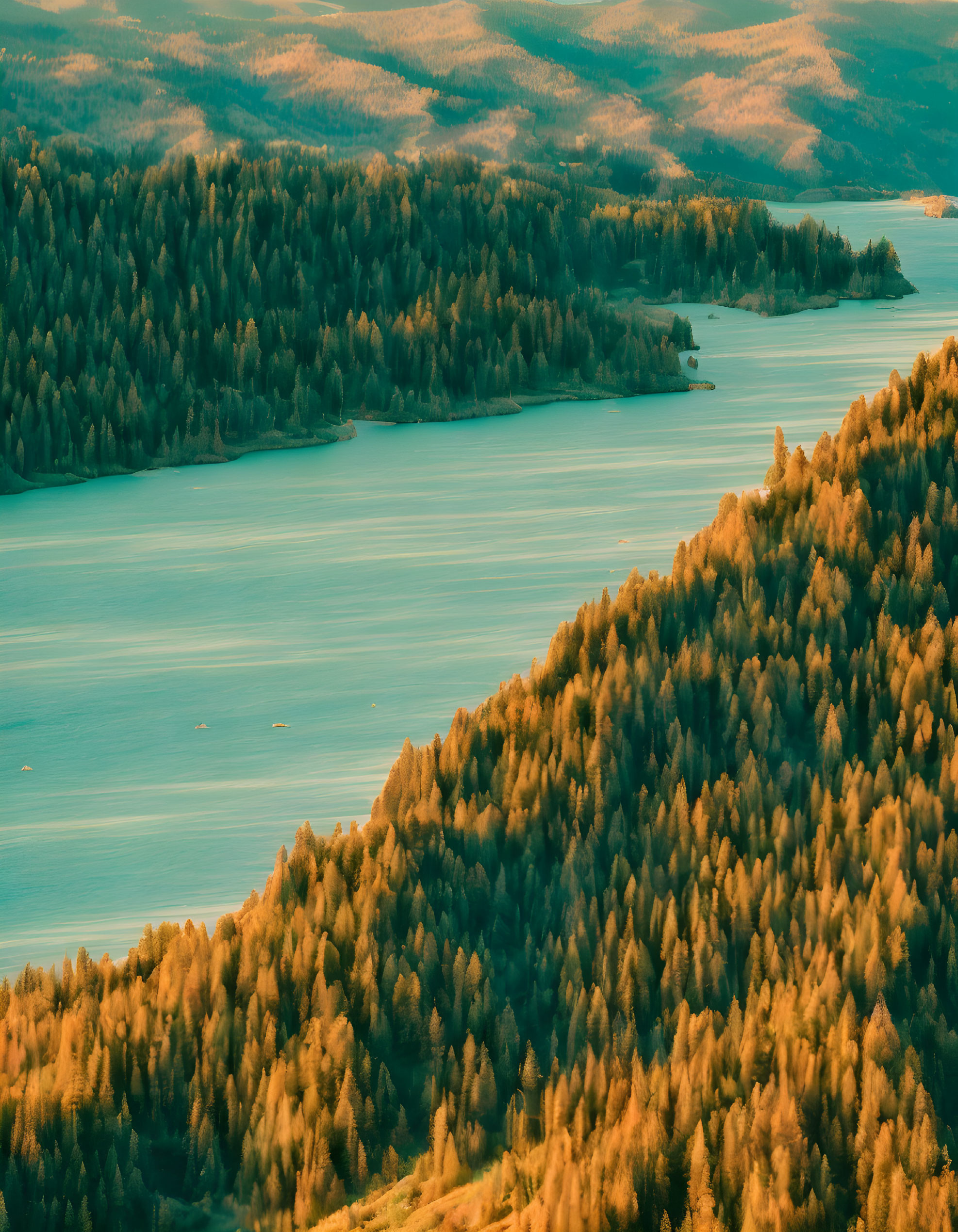 Tranquil landscape with river, forest, and warm light.