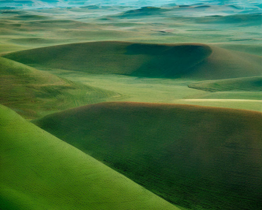 Serene landscape of undulating green hills