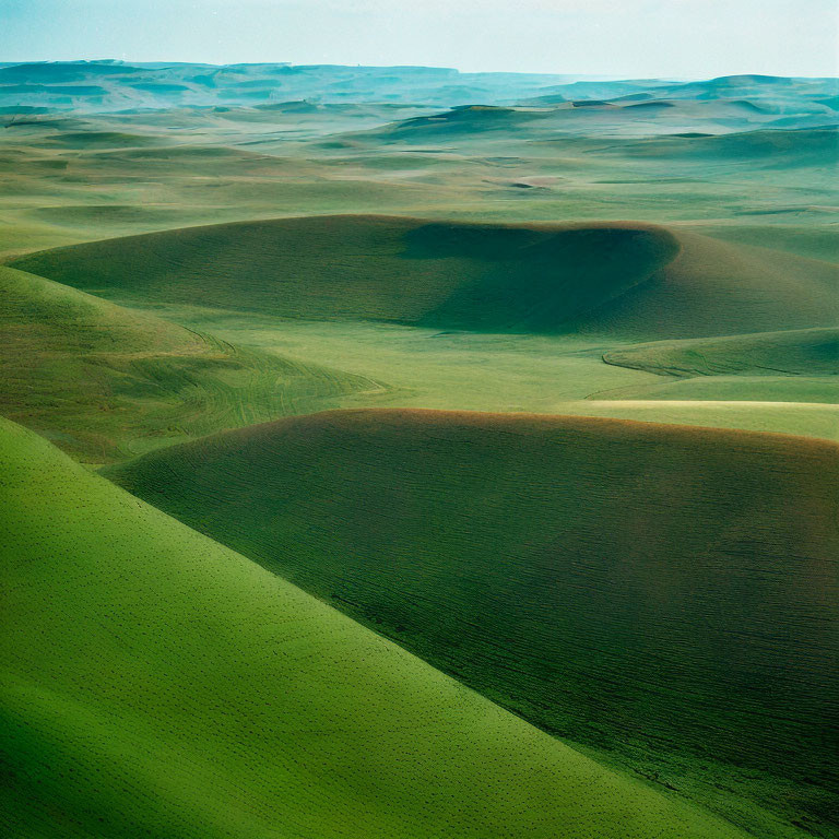 Serene landscape of undulating green hills