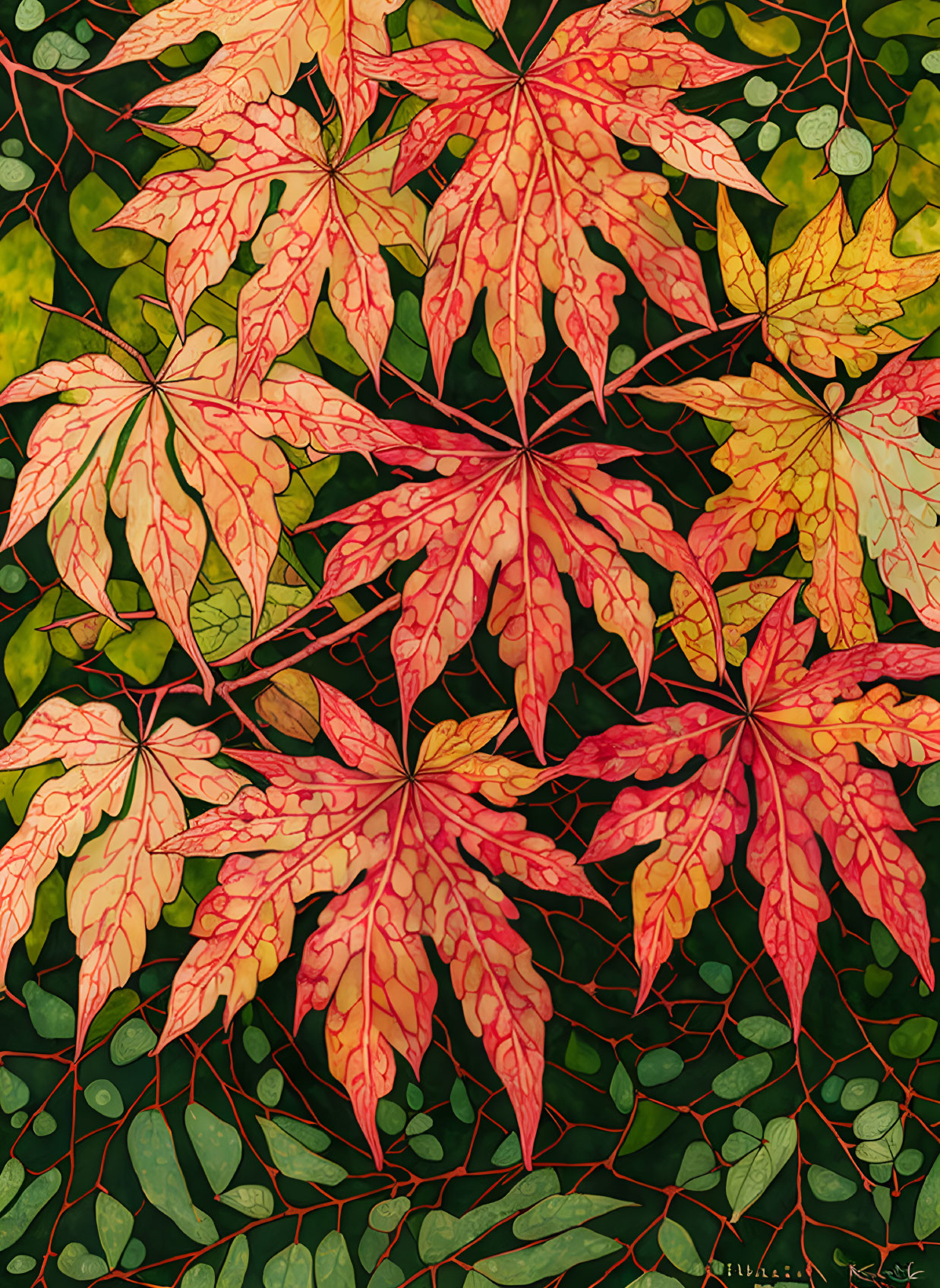 Japanese Maple 2