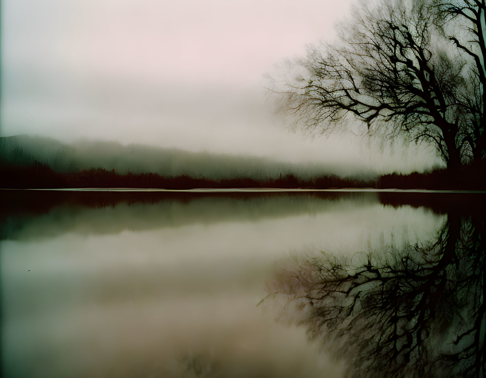 Tranquil landscape: misty lake mirrors lone tree, soft pink and green sky