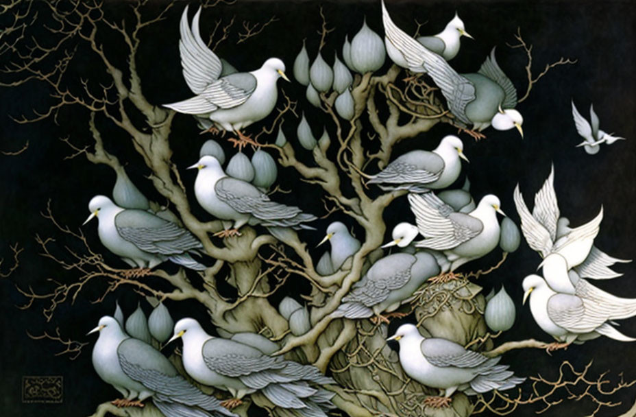 White doves on twisted tree branches against black background