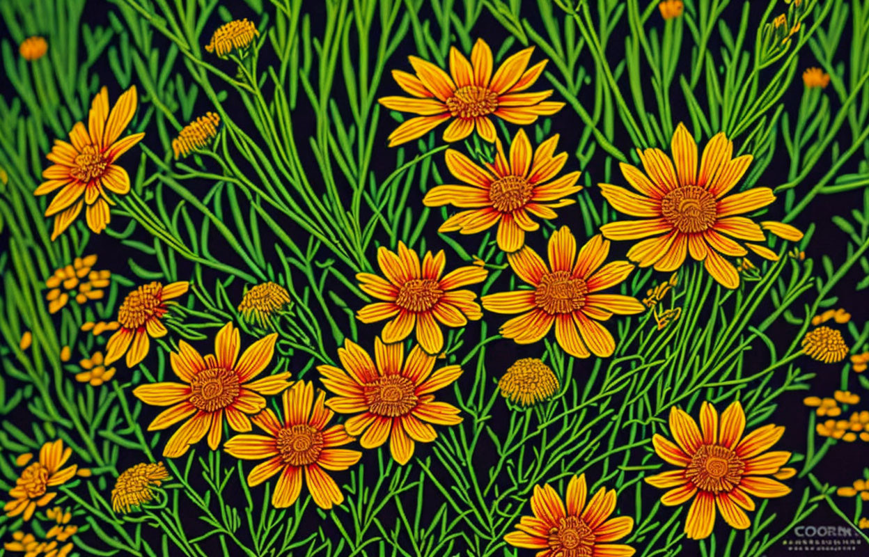 Bright Orange-Yellow Flowers on Black Background