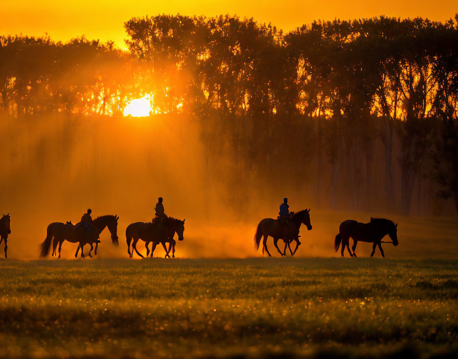 Horse riders in misty field at sunrise with warm sun glow