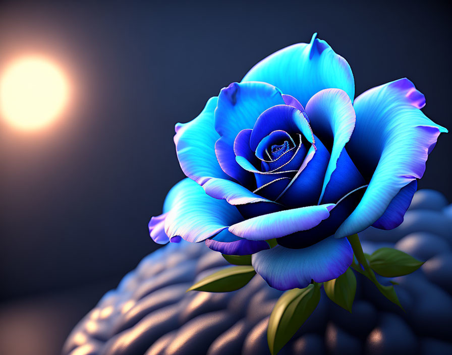 Blue Rose with Light to Dark Petals on Textured Surface Against Dark Background