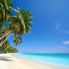 Tranquil beach scene with tall ships, blue sky, fluffy clouds, and lush trees