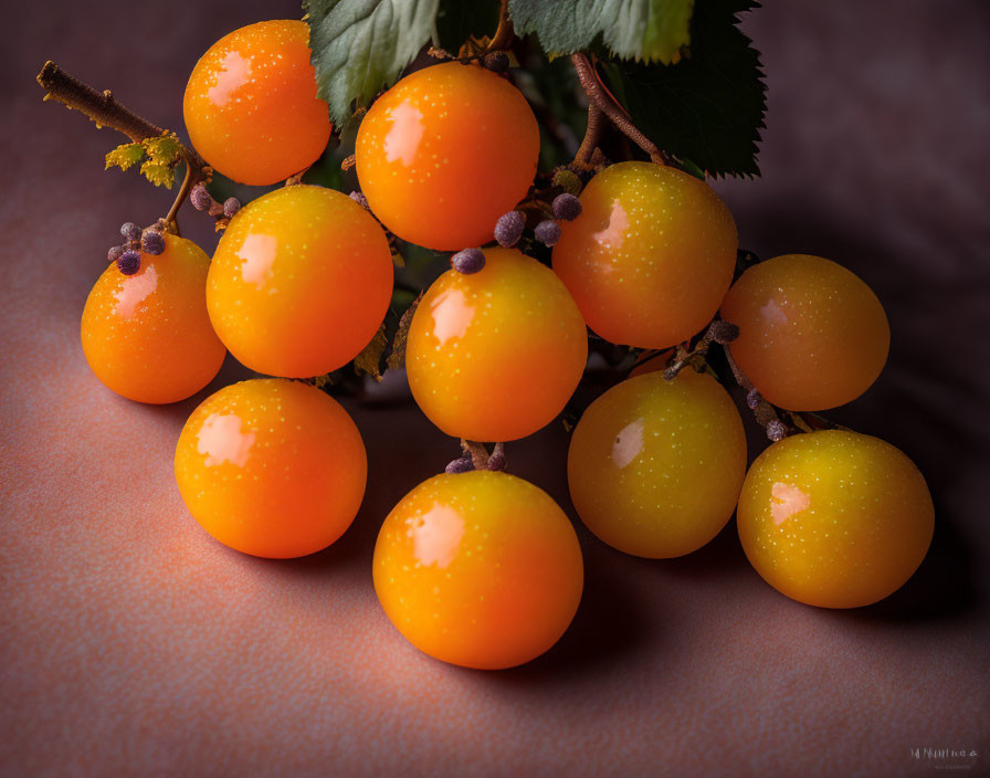 Ripe orange-yellow plums on textured surface