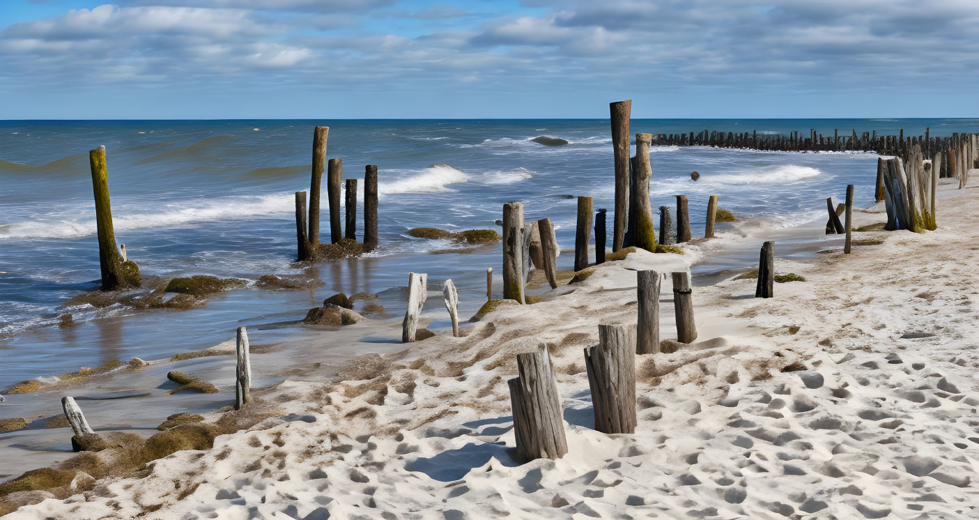 Weathered wooden posts on sandy beach with calm sea and blue sky