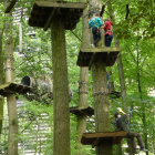 Whimsical treehouses in enchanted forest with round doors and windows