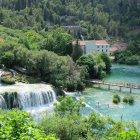 Lush forest with waterfalls, flowers, stone bridge, sunlight beams