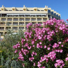 Lush Pink Flowers in Front of White Castle