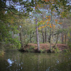 Serene fairytale landscape with grand castle, river, and wildlife