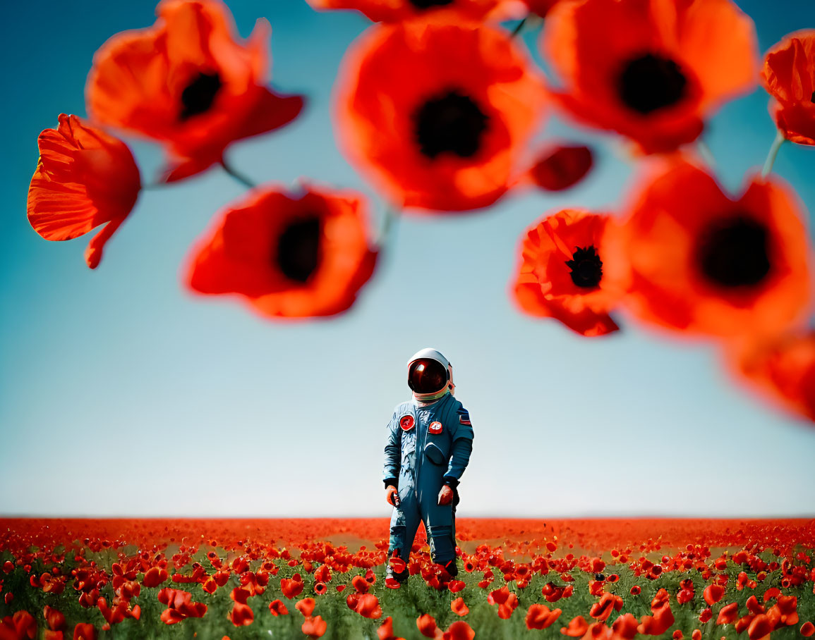 Astronaut in red poppy field under blue sky