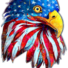 Vibrant eagle head illustration with intricate patterns in blue, red, and yellow.