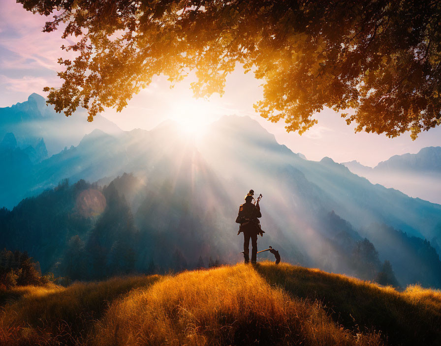 Silhouette of person under tree on hill, sun rays over mountain range