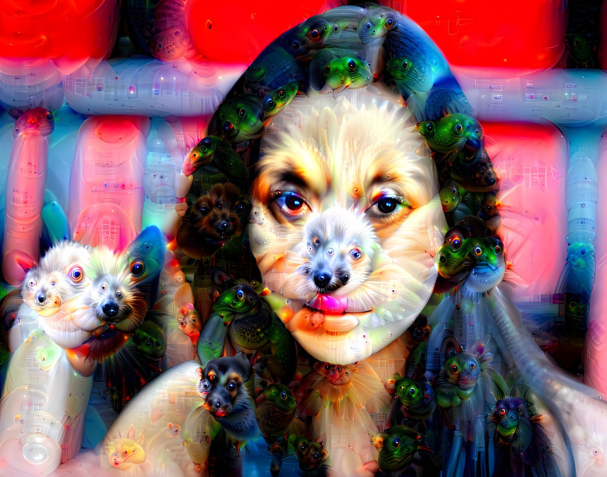 Deep dream