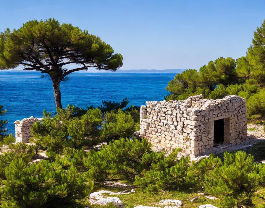 Ancient stone ruins surrounded by pine trees and blue sea