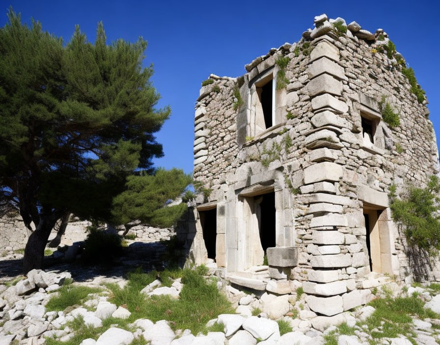 Ancient stone building with arched doorways, rubble, and pine trees under blue sky