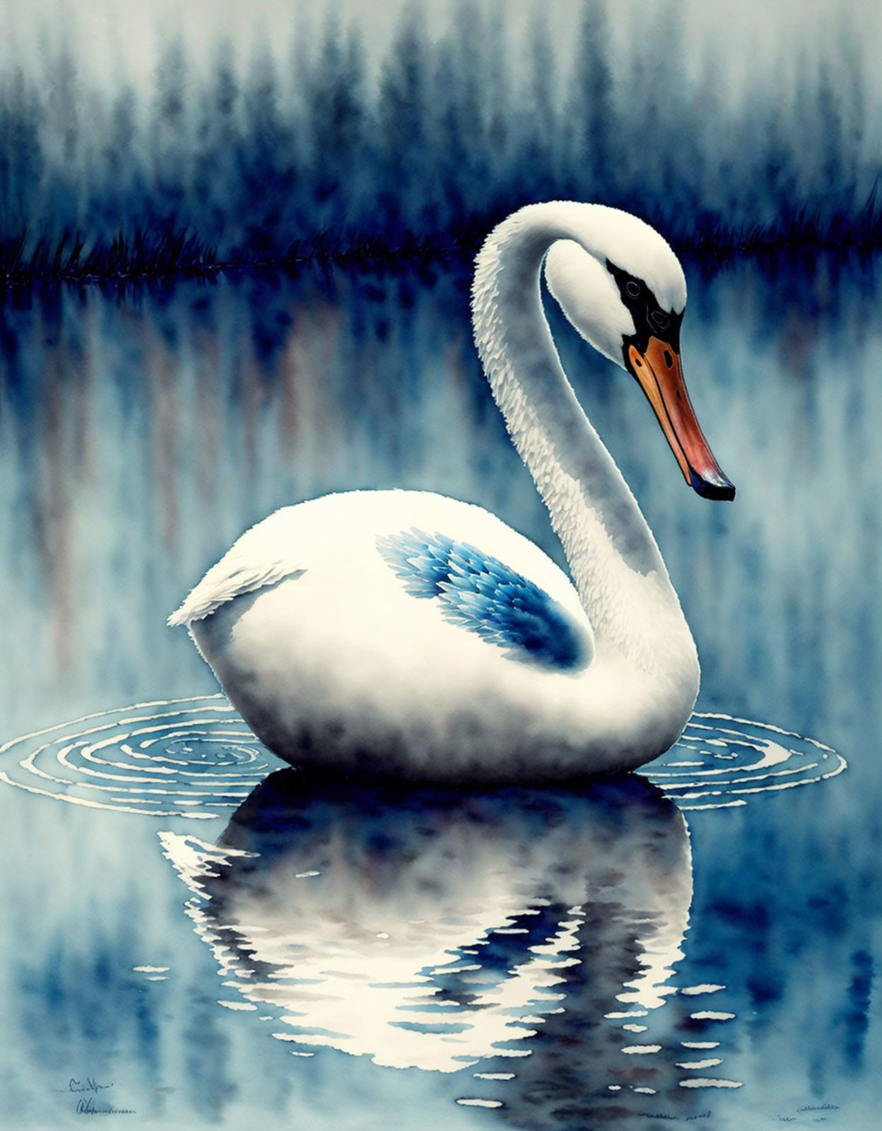 White Swan with Orange Beak Floating on Blue Water