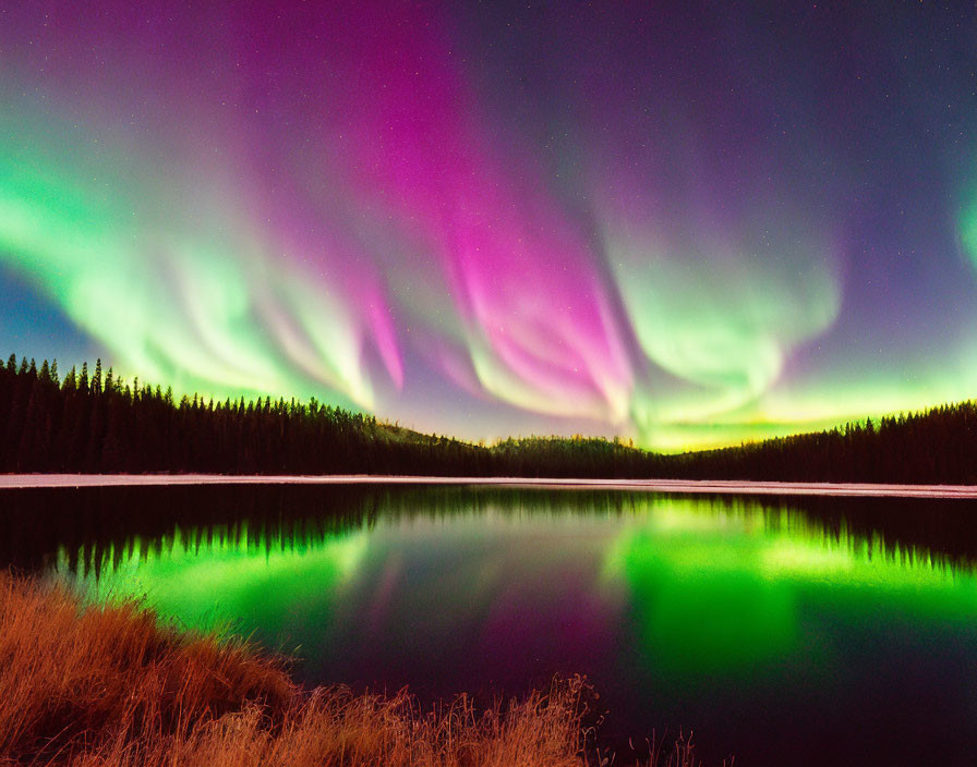 Vibrant Green and Pink Aurora Borealis Over Serene Lake