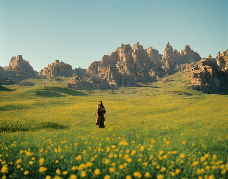 Person standing in vast field of yellow flowers with towering rock formations and clear blue sky.