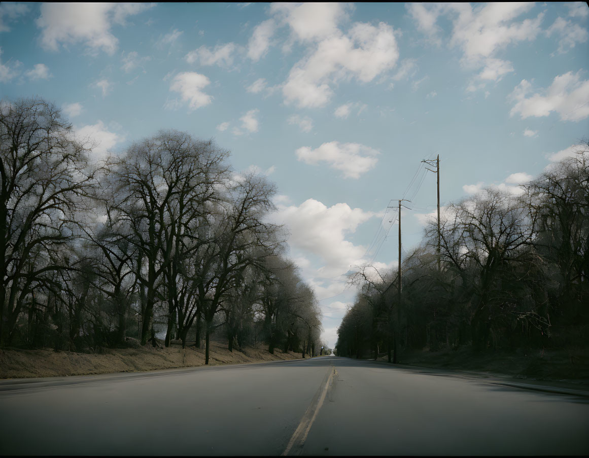 Leafless trees line quiet two-lane road under fluffy cloud-filled sky