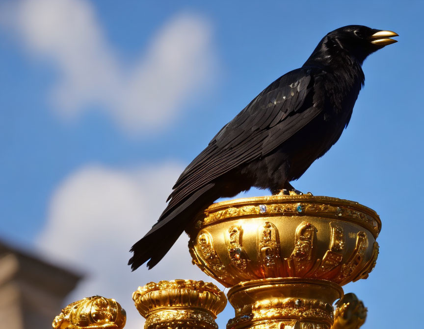 Crow perched on golden cup under blue sky