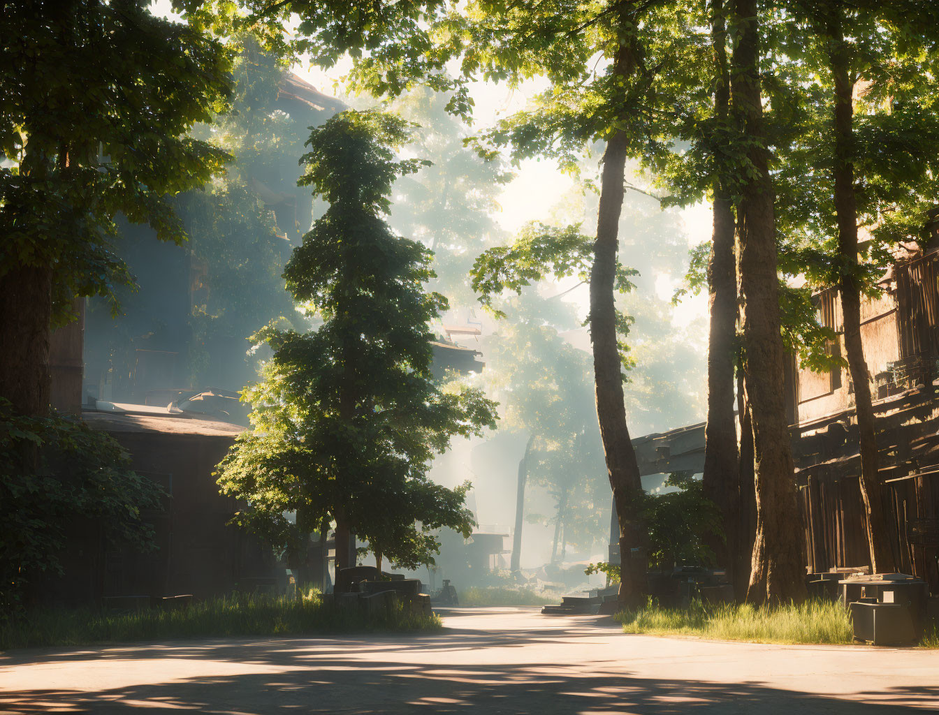 Tranquil street with rustic wooden houses and towering trees at sunrise