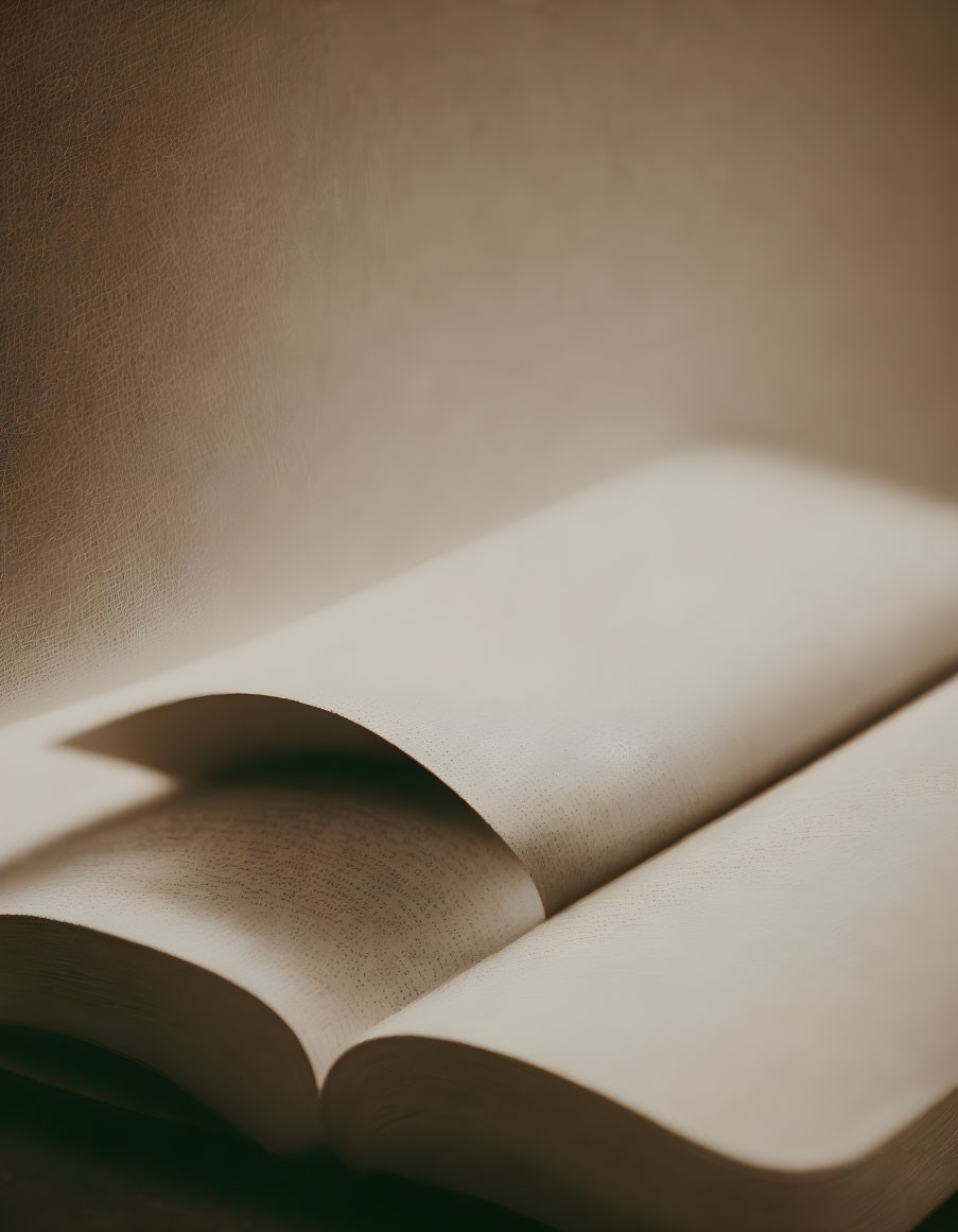 Open book with curved pages on soft beige background