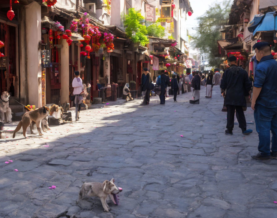 Old Town Street Scene with People, Dogs, and Red Lanterns