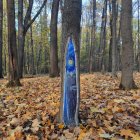 Tall Trees and Golden Leaves in Autumn Forest