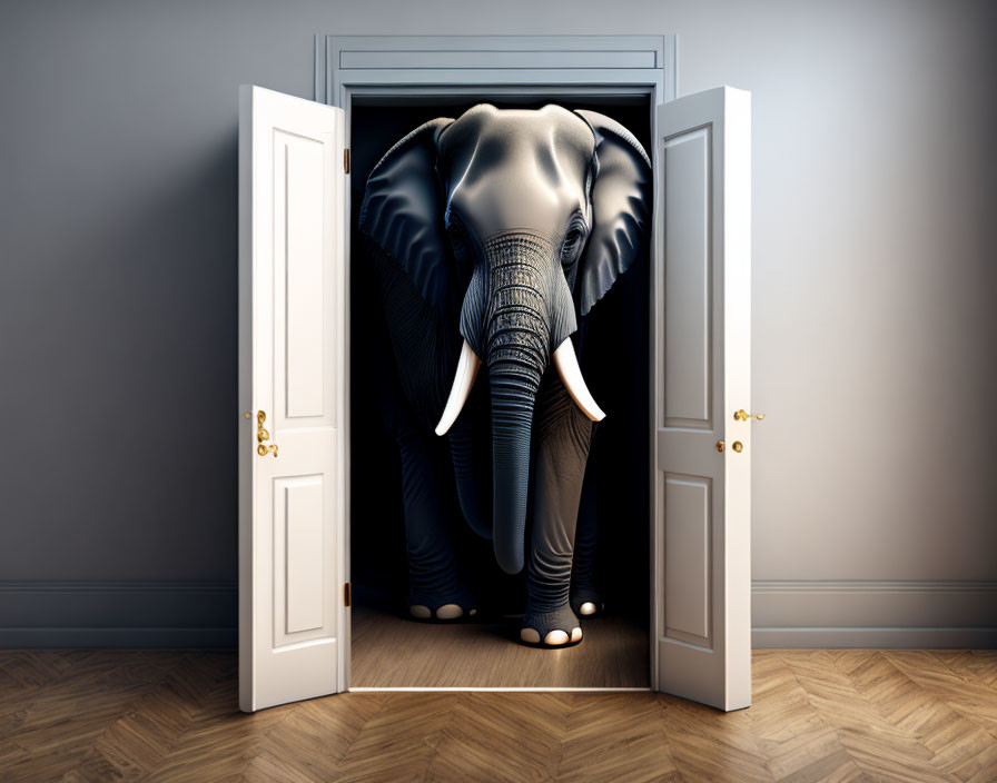 Bulky elephant in small room with door ajar