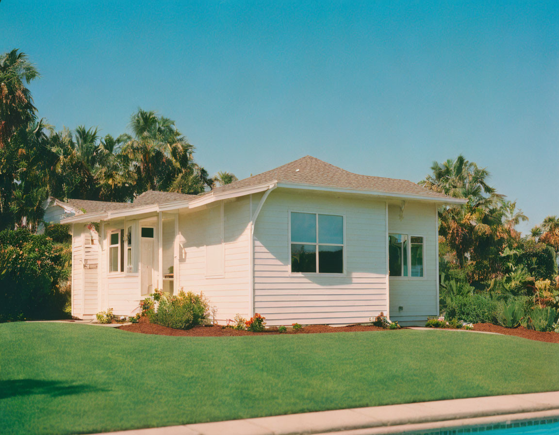 White House with Palm Trees and Pool in Clear Blue Sky