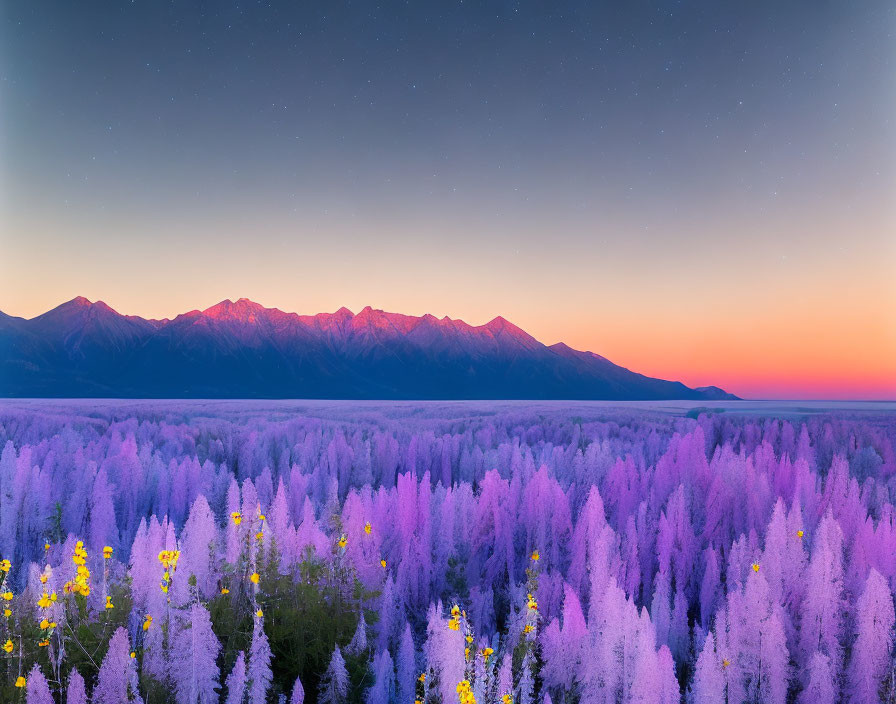 Mountain Range Sunset with Purple Trees and Yellow Flowers under Starry Sky