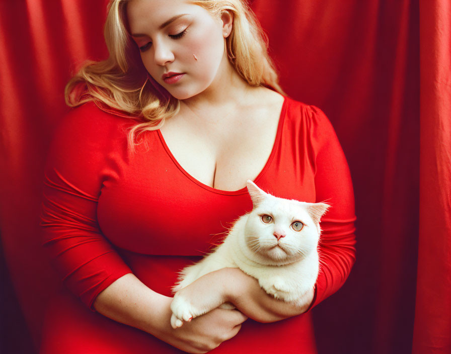 Woman in red dress holding white cat against red backdrop