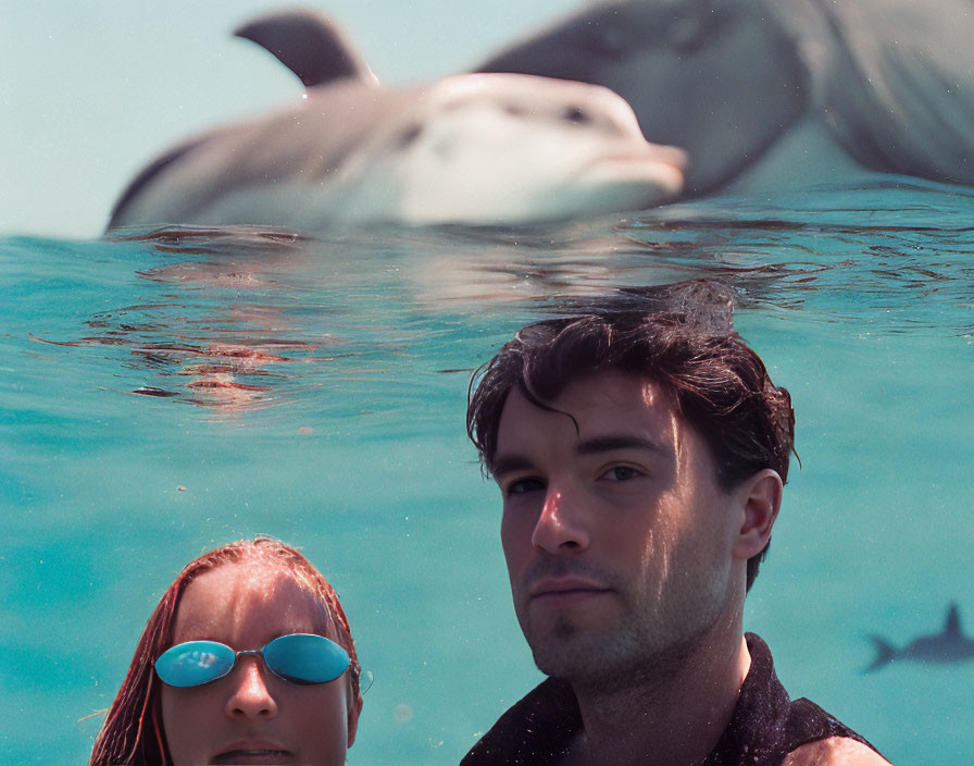 Two swimmers with dolphin and shark silhouettes underwater