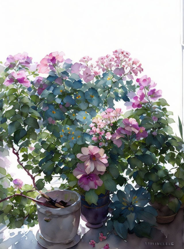 Watercolor painting of blooming hydrangea bush by window