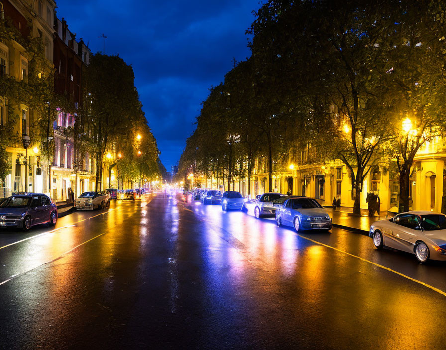 City street at night with wet pavement, streetlights, car headlights, trees, and buildings