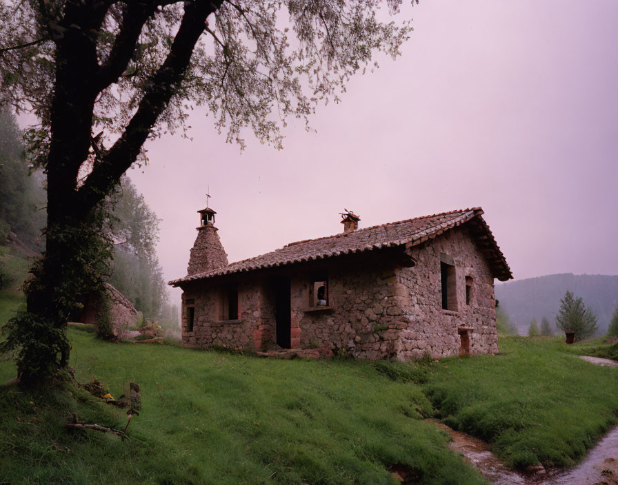 Stone cottage with tiled roof in lush greenery, tree and dirt path.