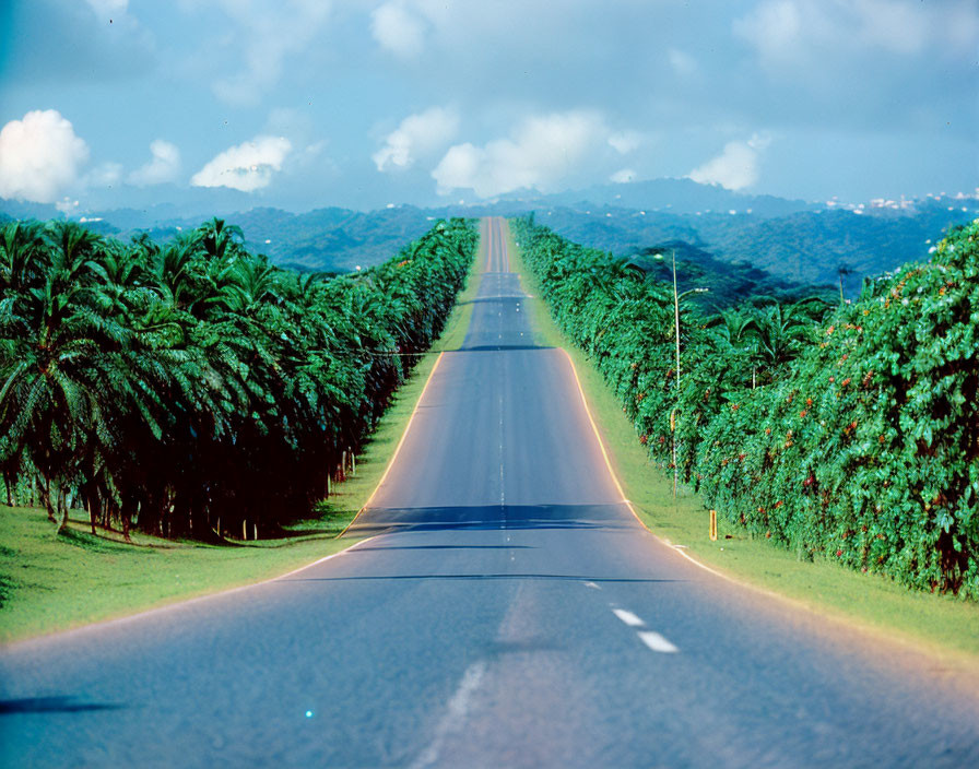 Empty road through green trees under blue sky and hills view