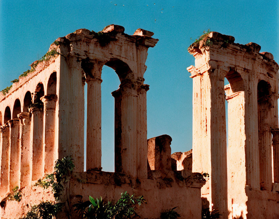 Ancient Roman columns with Corinthian capitals under clear blue sky