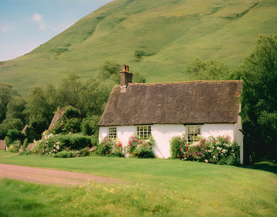 Thatched roof white cottage in lush greenery and flowers