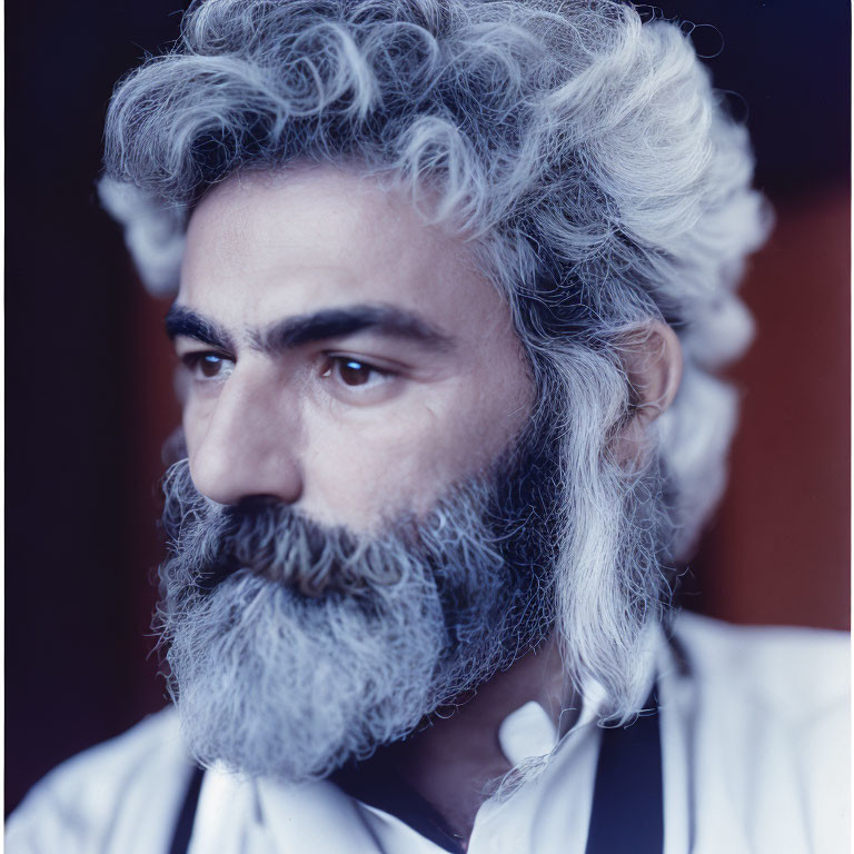 Portrait of a man with salt-and-pepper beard and curly hair, looking pensive