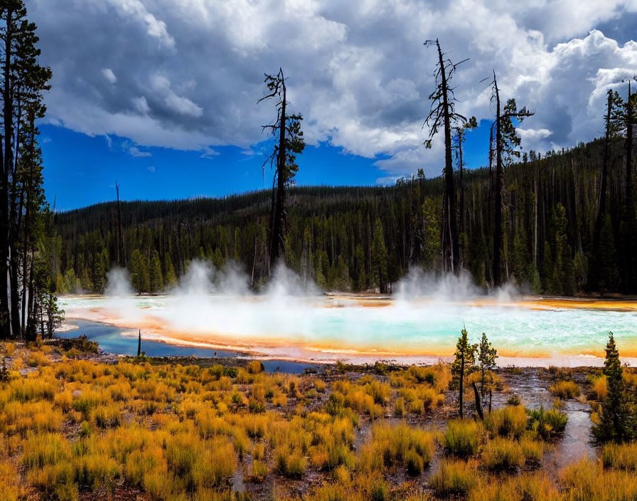 Scenic geothermal spring with steaming water and lush surroundings