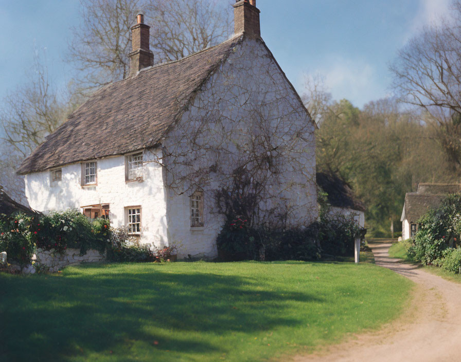 White Cottage with Thatched Roof Surrounded by Greenery and Vine