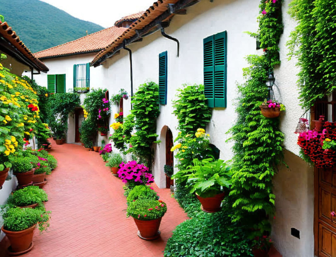 Traditional houses with lush green climbing plants and vibrant flowers in a charming alleyway