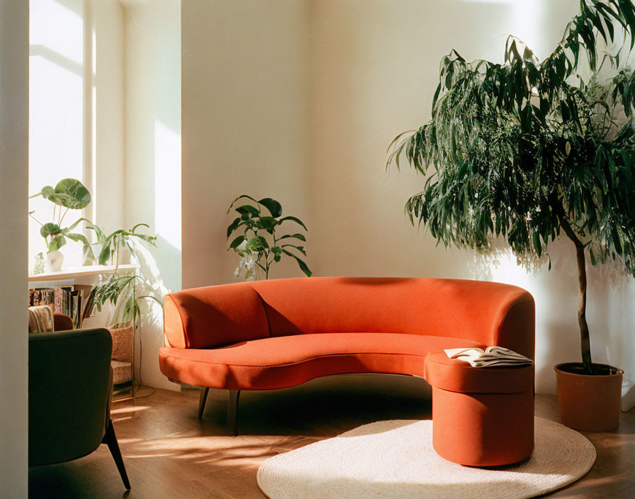 Warm Sunlit Room with Orange Sofa, Indoor Plants, Round Rug & Side Table